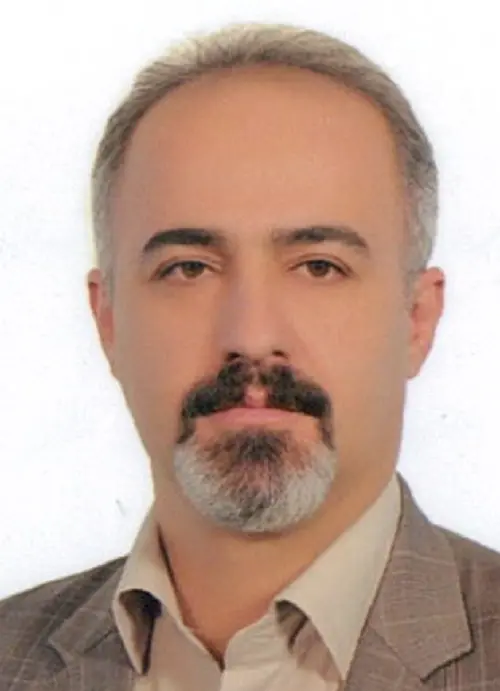مجتبی صادقی