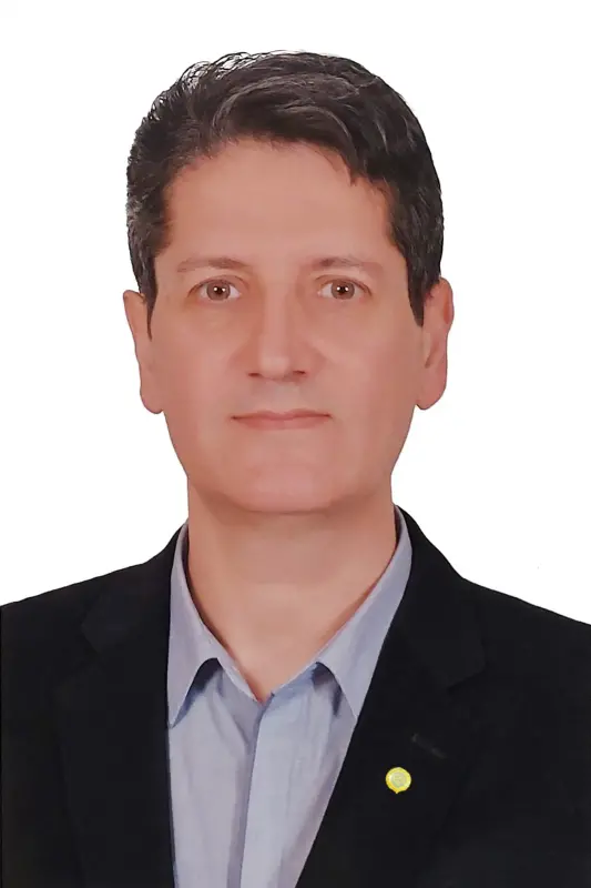پیمان حسینی