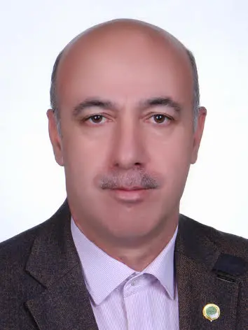 امیر محمدزاده پاکدل