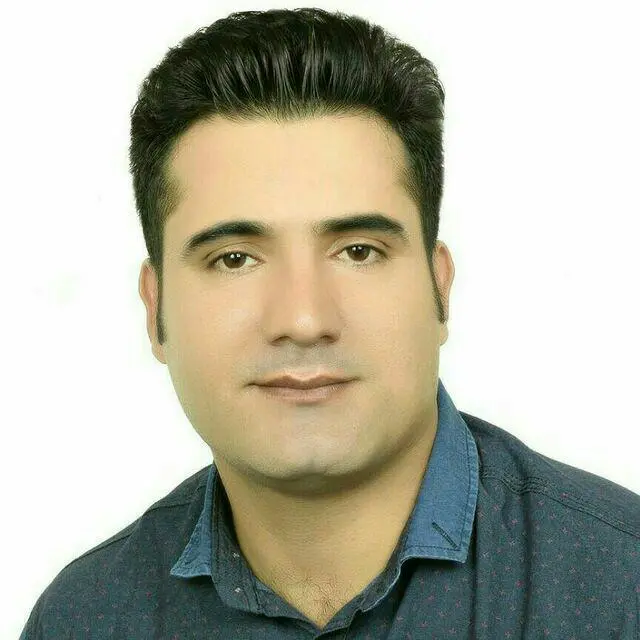 میثم ویسی