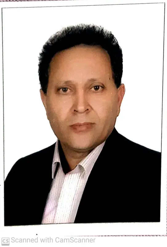 رضا ناصراحمدی