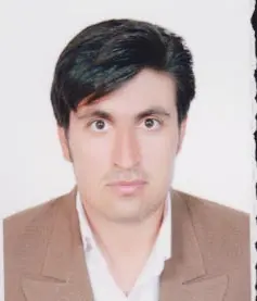 علی صفری