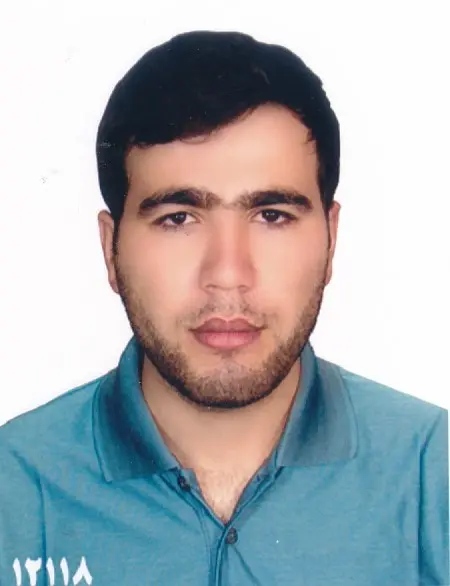 بهمن حمزه لو