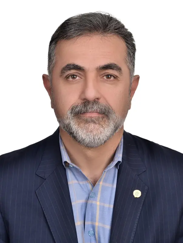 سیدمجید روحانی