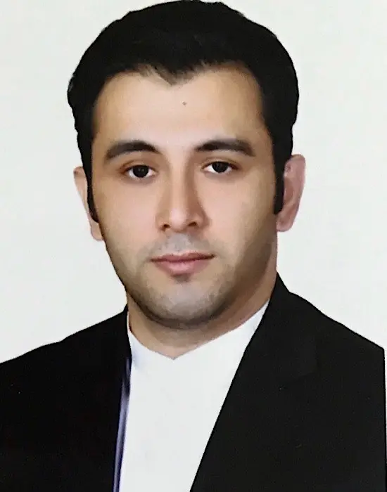 حامد فاضلی