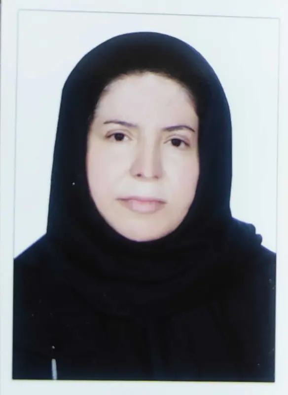 لیلا آرین پارسا