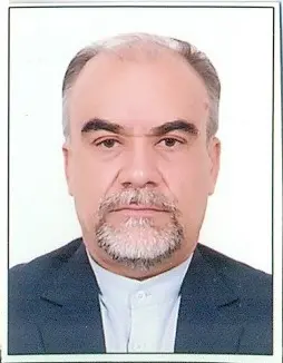 ناصر کیانی افضلی