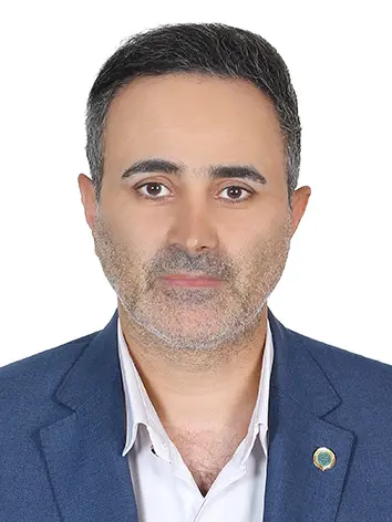 سیدمحسن صاحب دادی