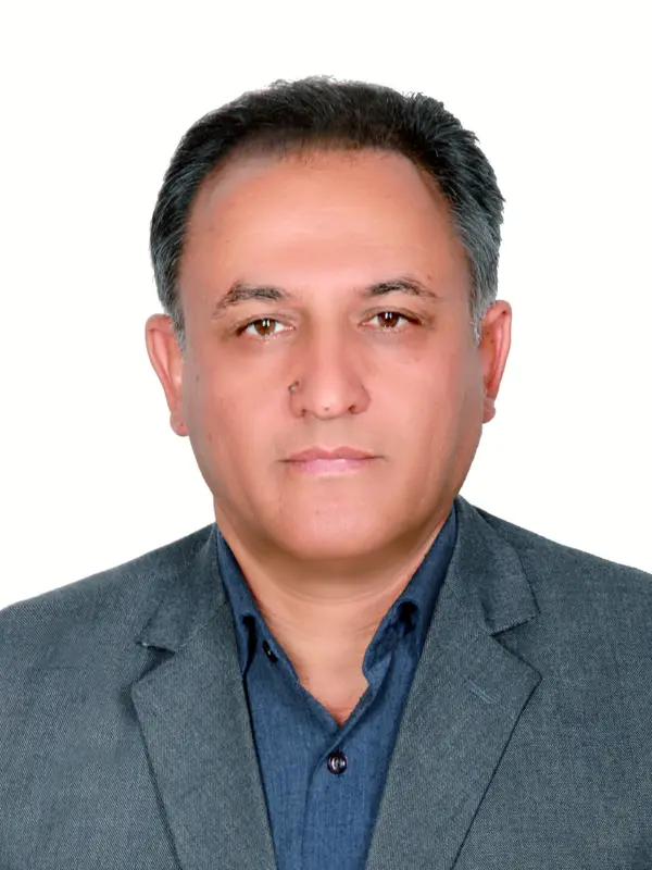 حسن انصاری
