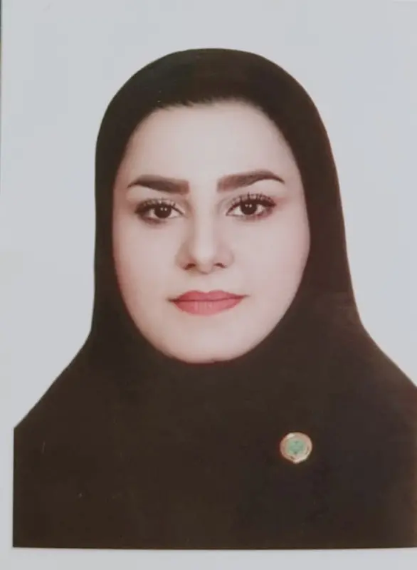 میسا تفنگ ساز