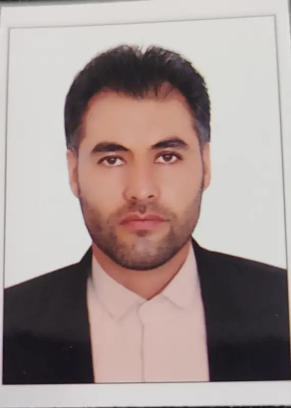 مهدی محمدی ارتکند