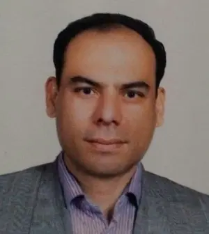 محمد حیدرحجازی