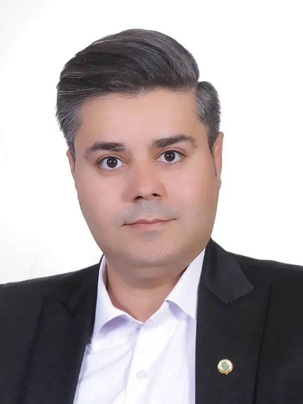 امیرحسین امیراحمدی