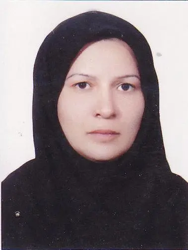 مهناز حسینی سیرچی