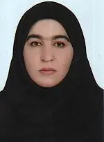 فهیمه احمدی ردانی