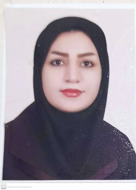 مینا ابولی