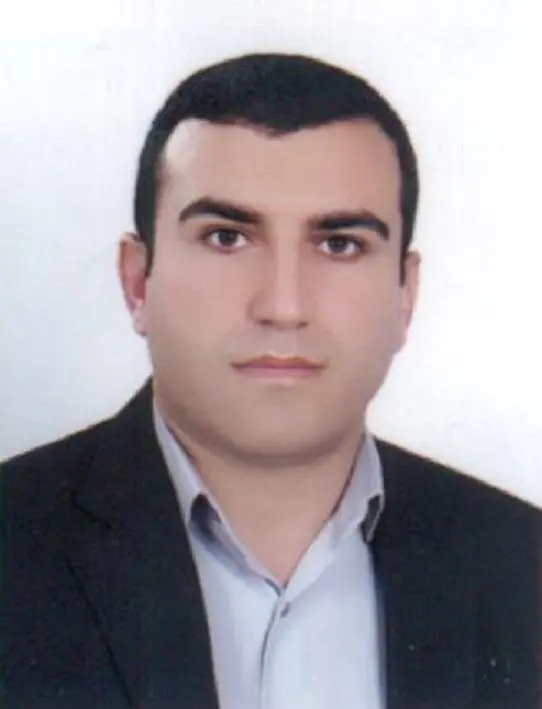 رضا رادمان