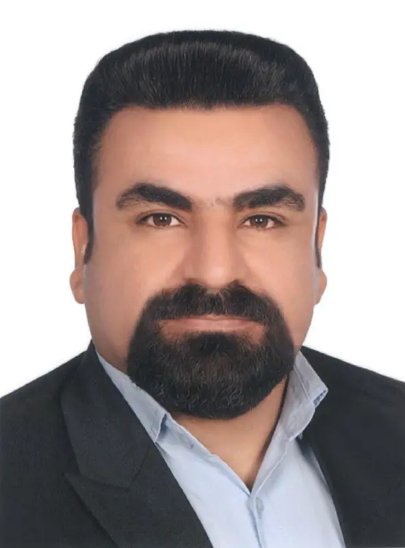 مجتبی محمدی
