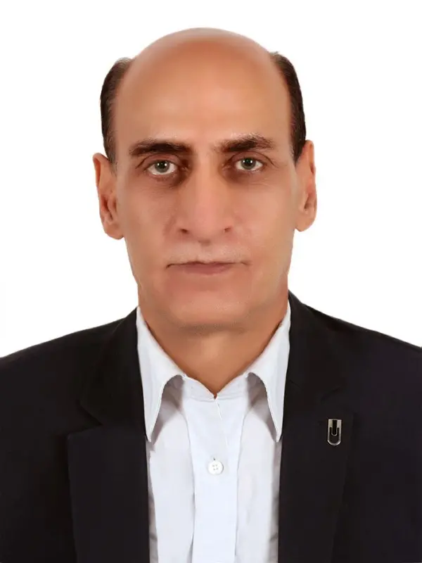 محمدتقی میرزابیگی