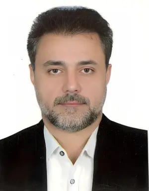 بابک گل محمدی