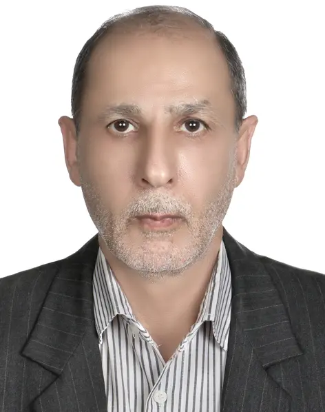 سید حسن سید نور