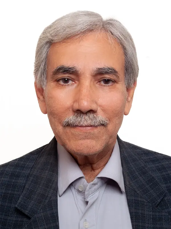 سیدابراهیم فاطمی عماره